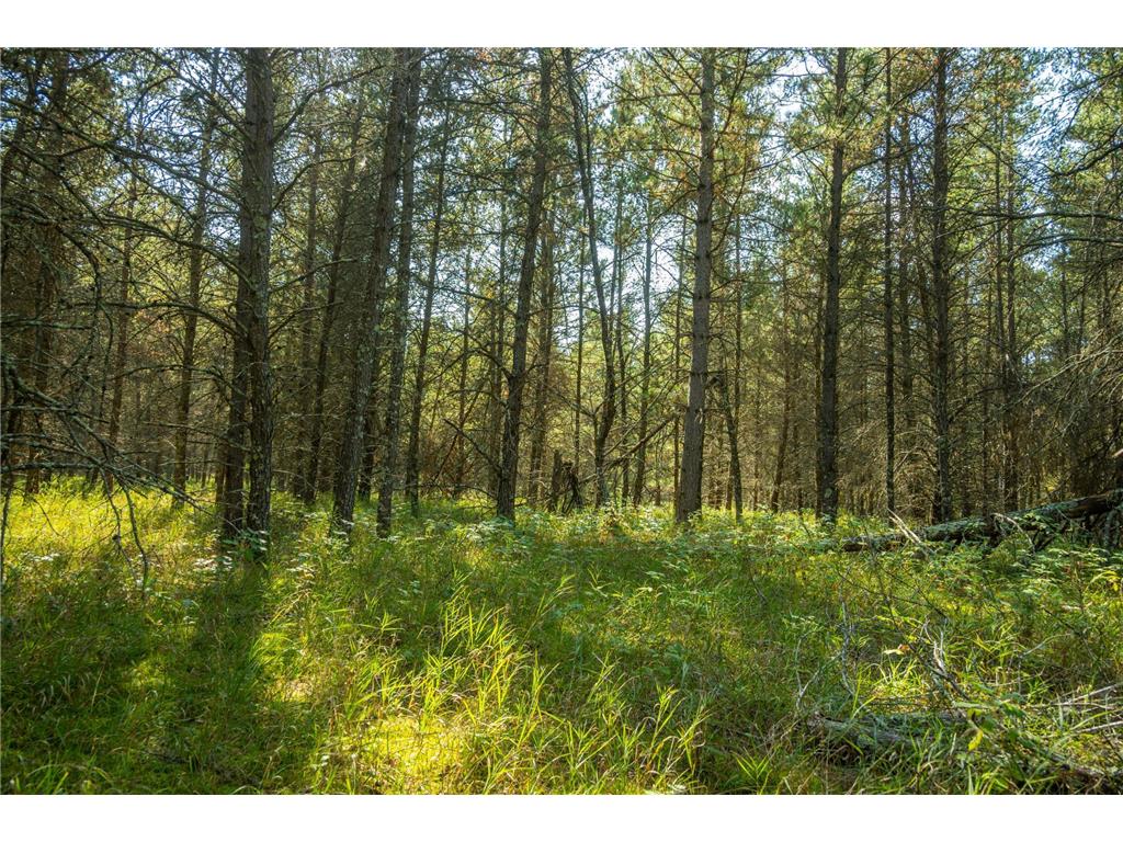 5895 Mapleton Road Baxter MN 56425 6797489 image24