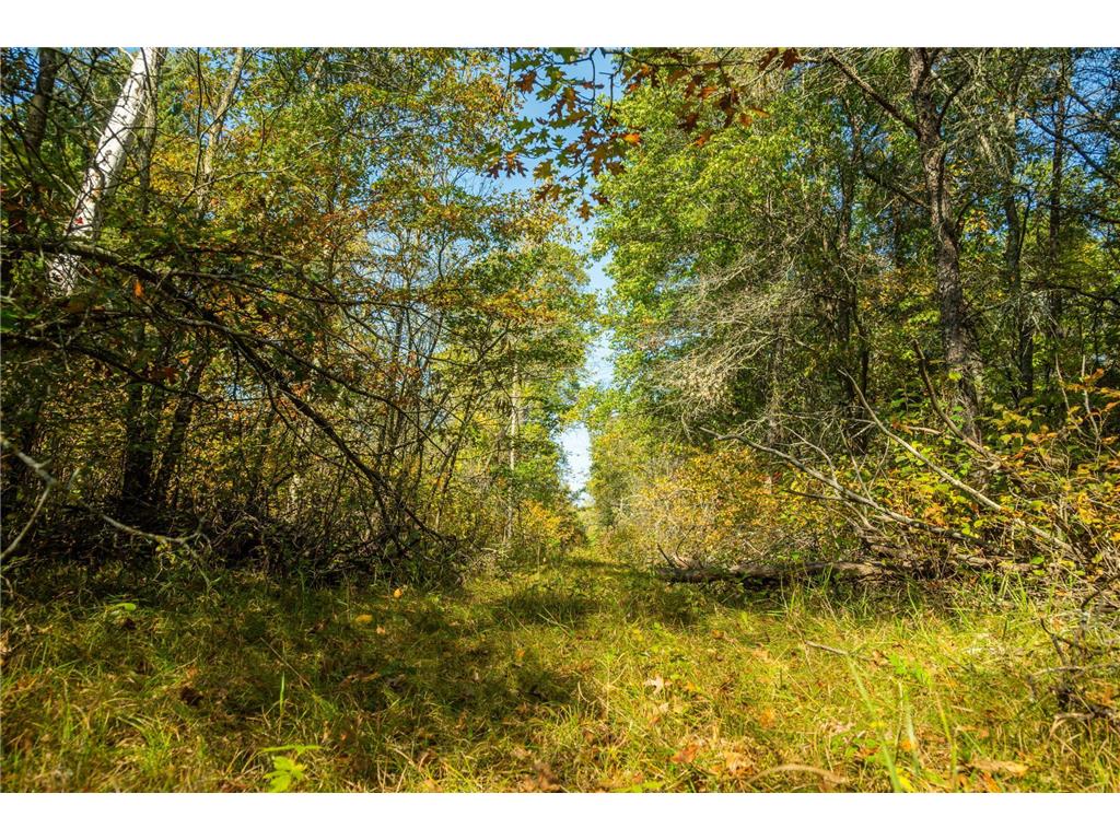 5895 Mapleton Road Baxter MN 56425 6797489 image25