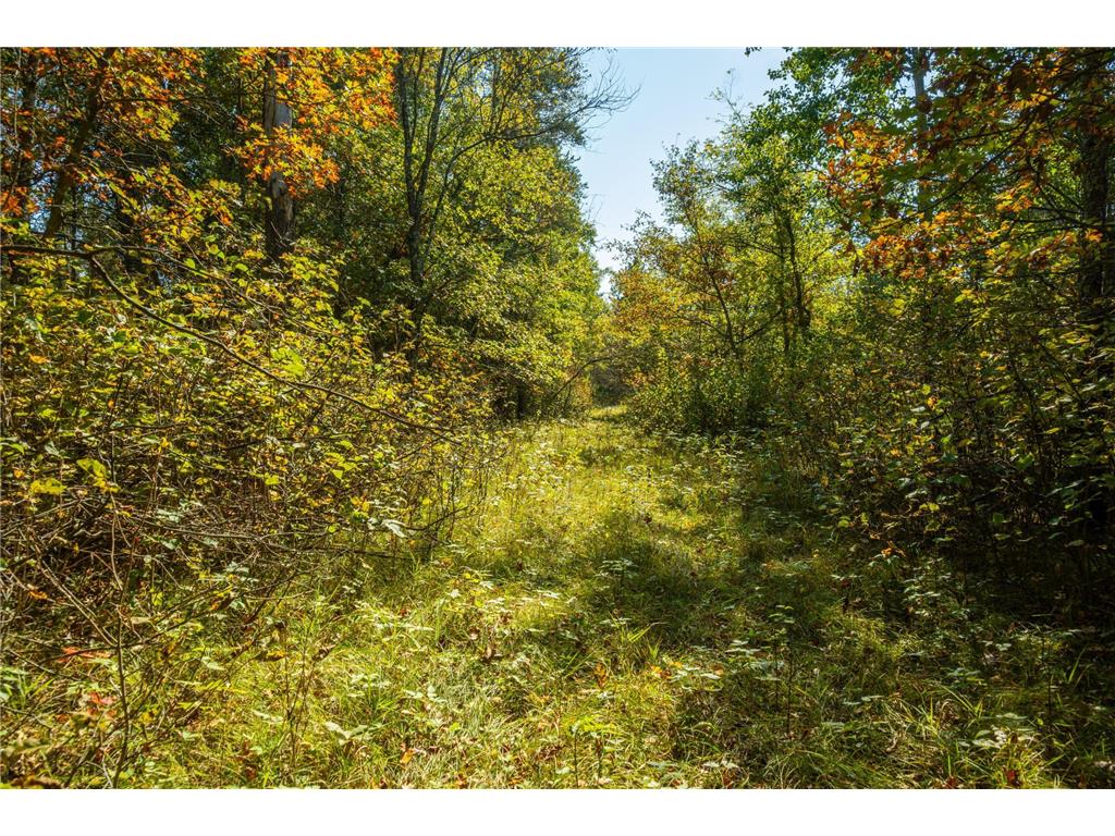 5895 Mapleton Road Baxter MN 56425 6797489 image26