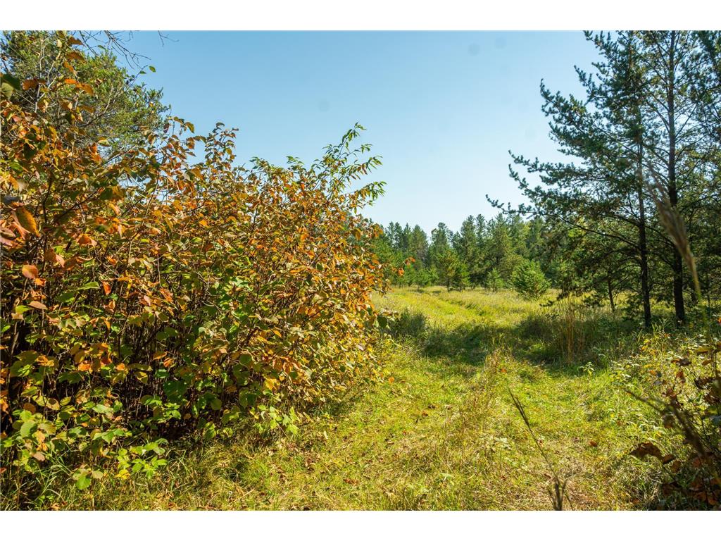 5895 Mapleton Road Baxter MN 56425 6797489 image27