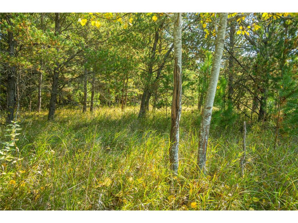 5895 Mapleton Road Baxter MN 56425 6797489 image28