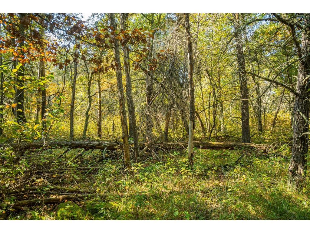 5895 Mapleton Road Baxter MN 56425 6797489 image30