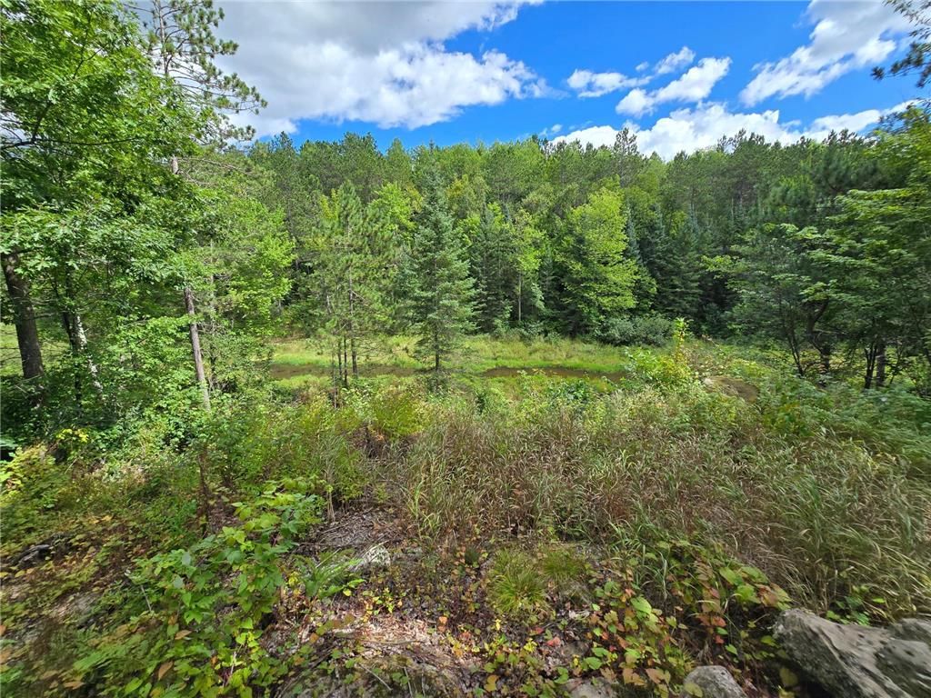 58950 State Highway 23 Sandstone MN 55072 - Wolf 6778255 image41