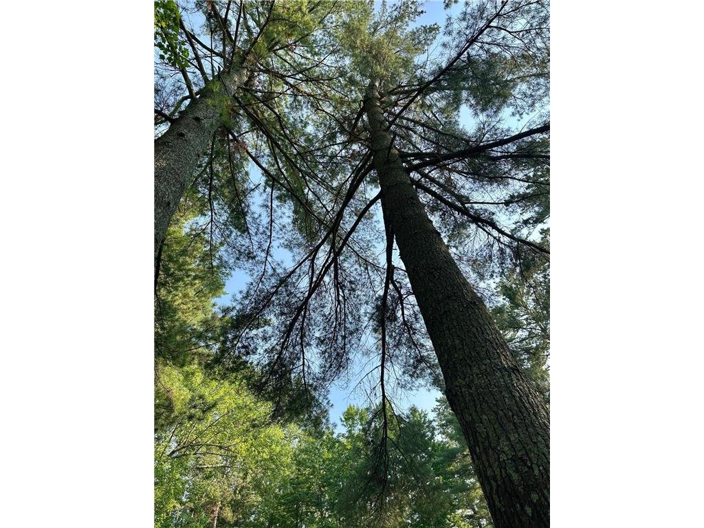 5896 Lake May Drive NW Akeley MN 56433 - May 6736798 image89