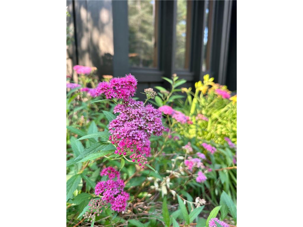 5896 Lake May Drive NW Akeley MN 56433 - May 6736798 image90