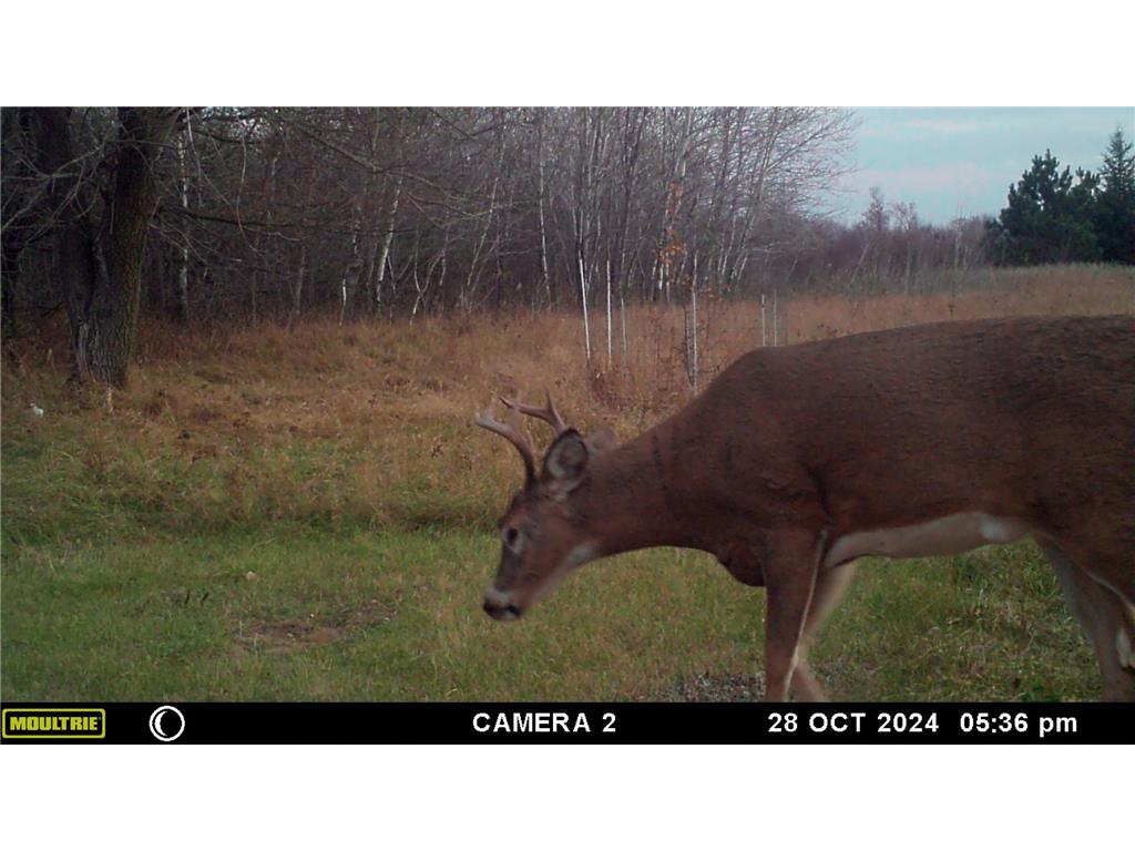 58988 County Highway 50 Compton Twp MN 56527 7014428 image11