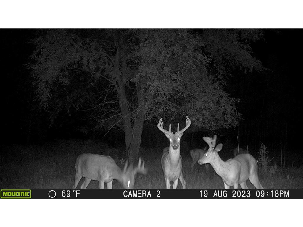 58988 County Highway 50 Compton Twp MN 56527 7014428 image12