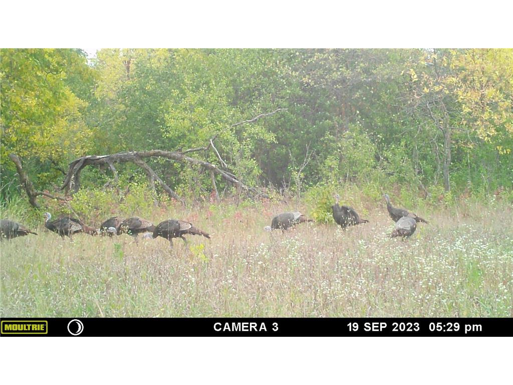 58988 County Highway 50 Compton Twp MN 56527 7014428 image15