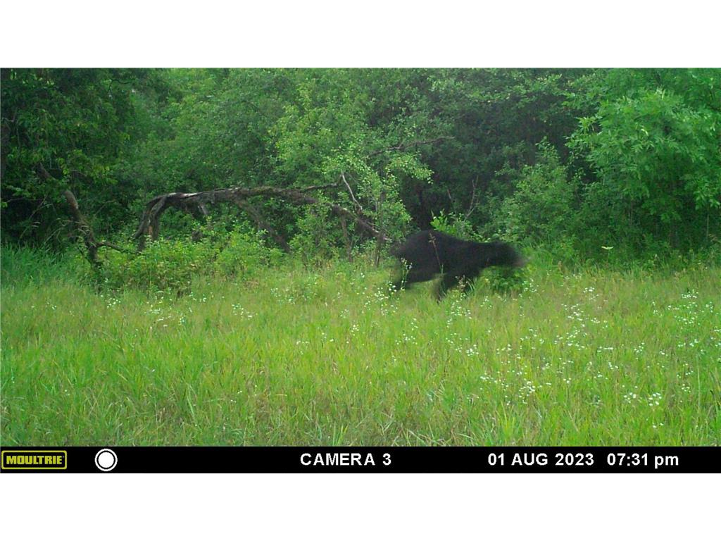 58988 County Highway 50 Compton Twp MN 56527 7014428 image19