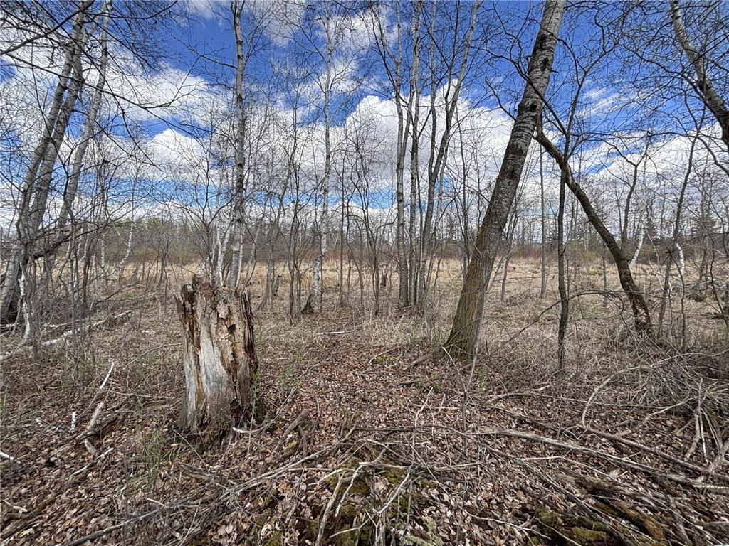 58988 County Highway 50 Compton Twp MN 56527 7014428 image40