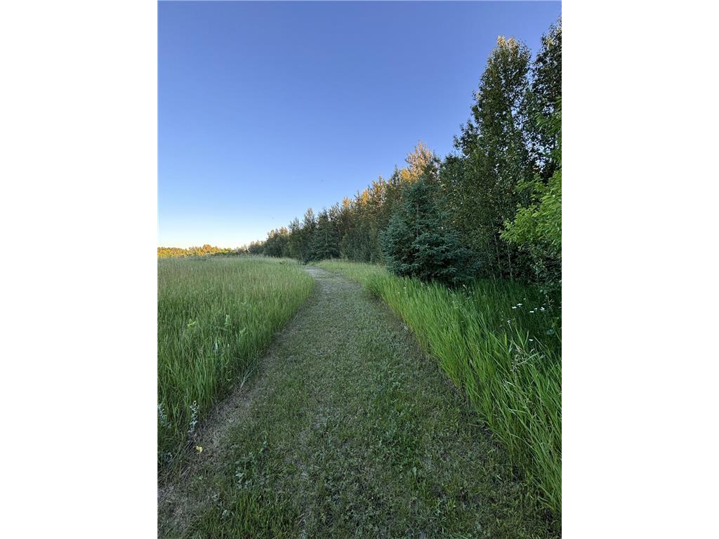 58988 County Highway 50 Compton Twp MN 56527 7014428 image44