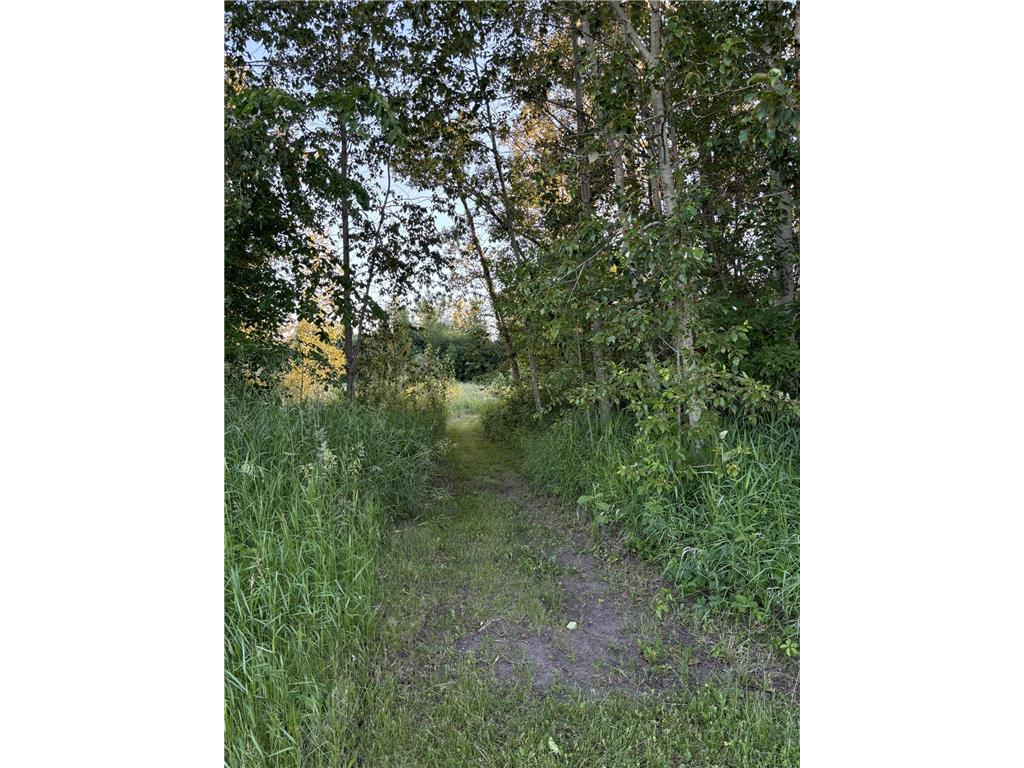 58988 County Highway 50 Compton Twp MN 56527 7014428 image45