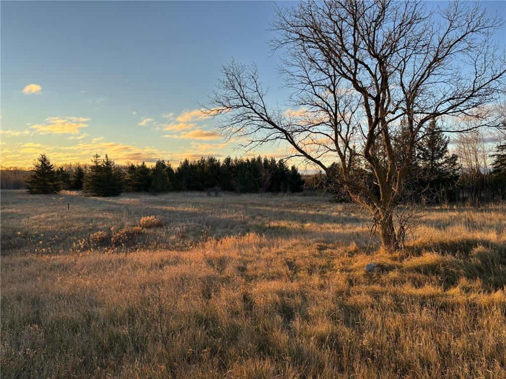 58988 County Highway 50 Compton Twp MN 56527 7014428 image49