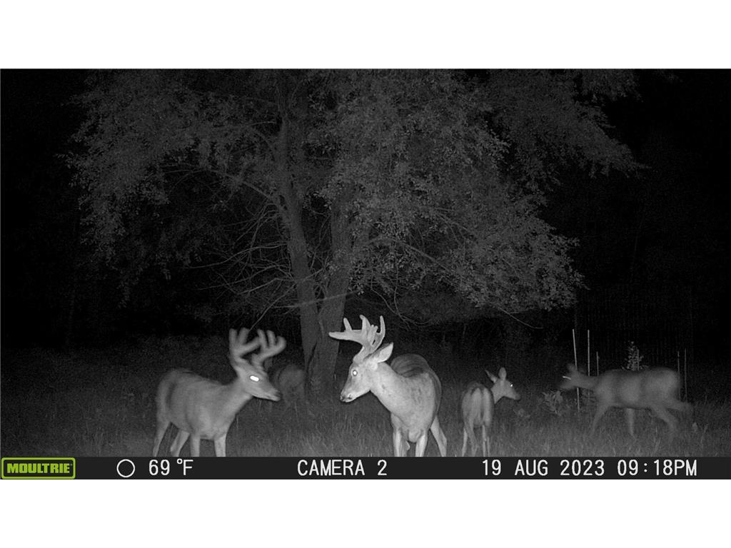 58988 County Highway 50 Compton Twp MN 56527 7014428 image8