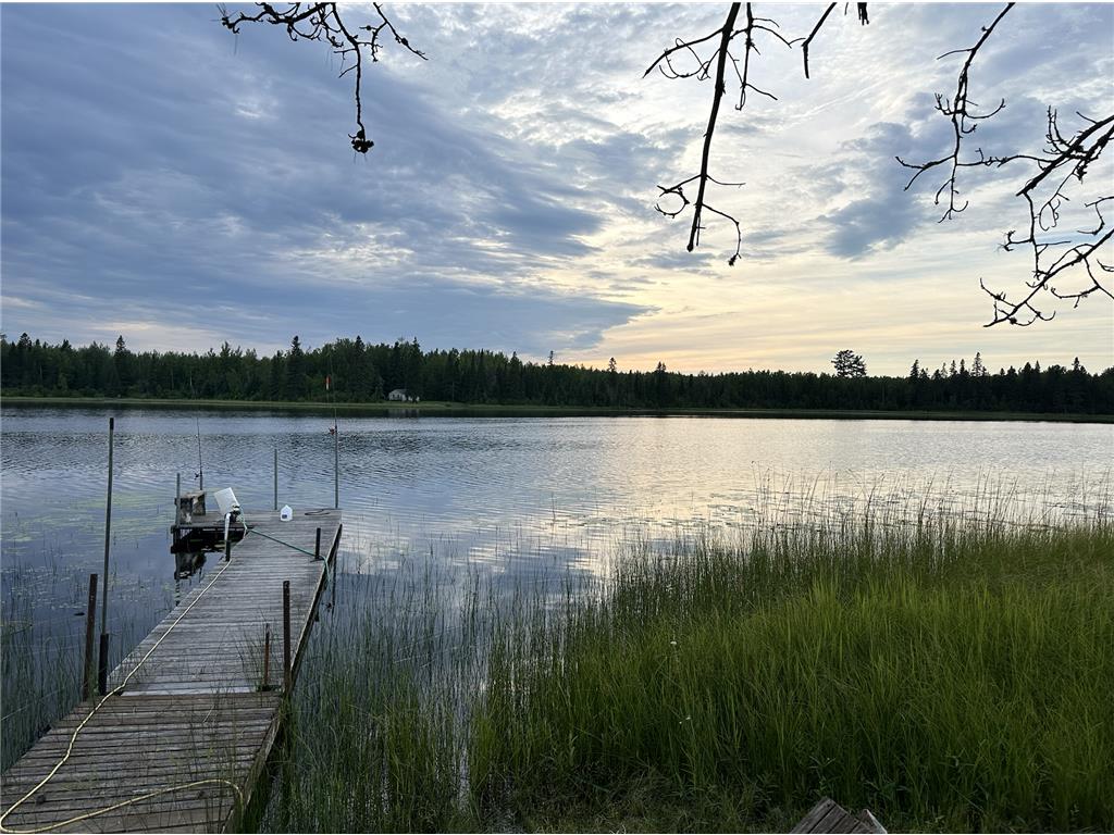 58991 Wilson Lake Forest Road Bearville Twp MN 56628 - Wilson Lake 6580646 image1
