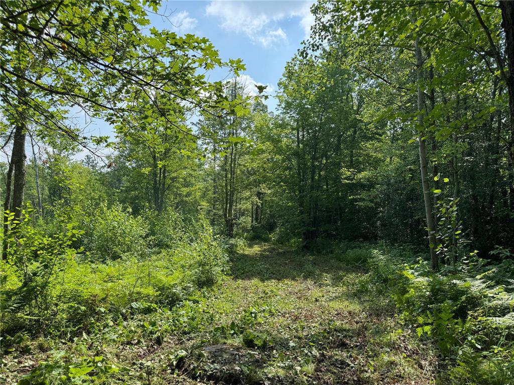 58xxx State Hwy 23 Sandstone MN 55072 - Wolf 6760723 image1