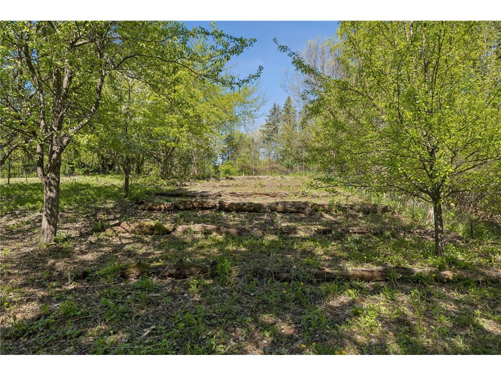 5900 Zehnder Road Sunfish Lake MN 55077 - Horseshoe Lake 7073777 image32