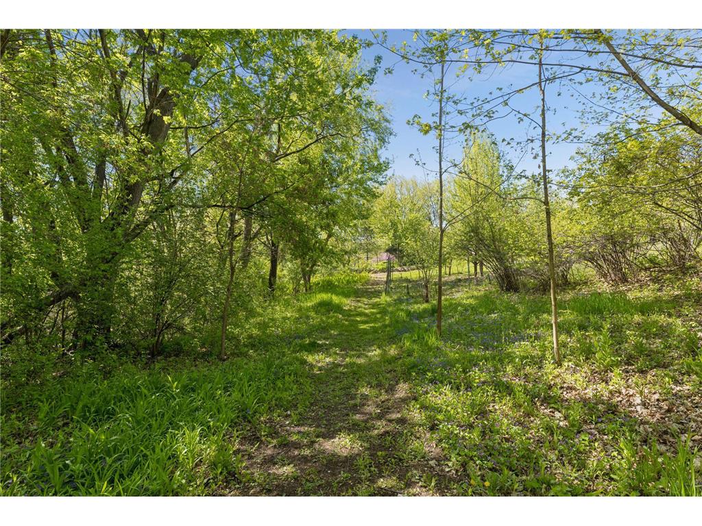 5900 Zehnder Road Sunfish Lake MN 55077 - Horseshoe Lake 7073777 image33