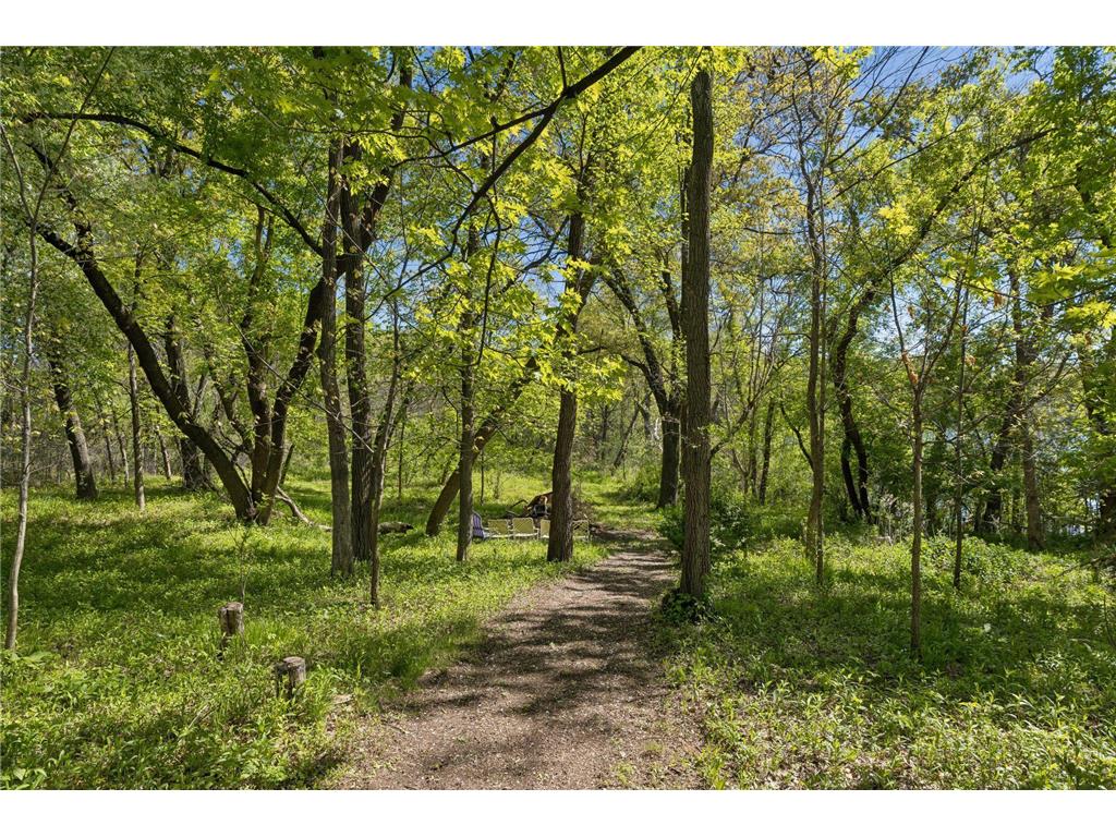 5900 Zehnder Road Sunfish Lake MN 55077 - Horseshoe Lake 7073777 image35