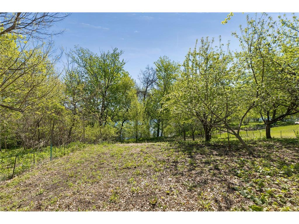 5900 Zehnder Road Sunfish Lake MN 55077 - Horseshoe Lake 7073777 image38