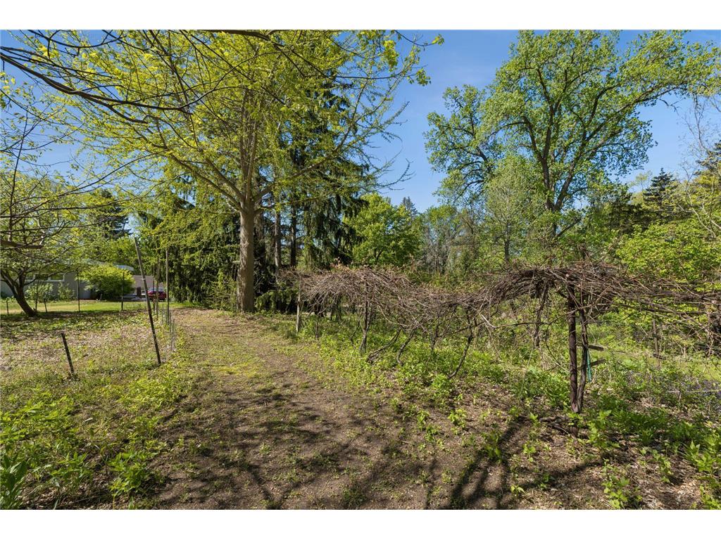 5900X Zehnder Road Sunfish Lake MN 55077 - Horseshoe Lake 7082693 image13