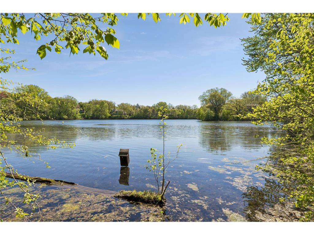 5900X Zehnder Road Sunfish Lake MN 55077 - Horseshoe Lake 7082693 image16
