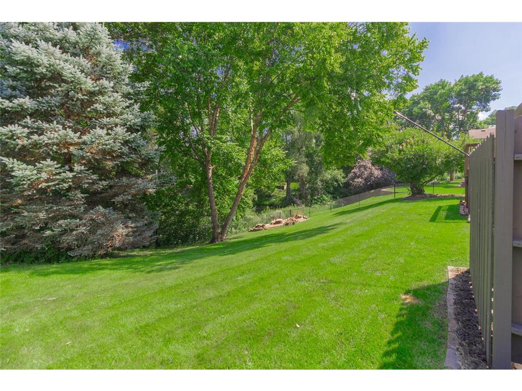 591 Autumn Oaks Court Eagan MN 55123 6773159 image40