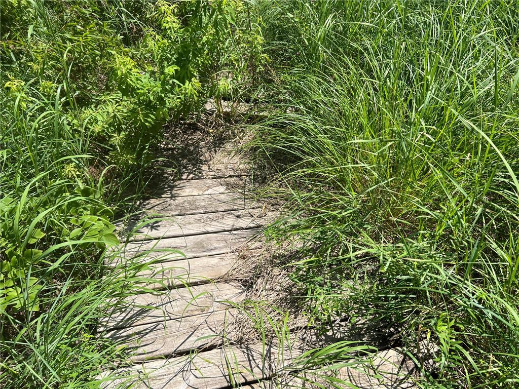 59112 412th Place Swatara MN 55785 - McKinney 6744843 image3