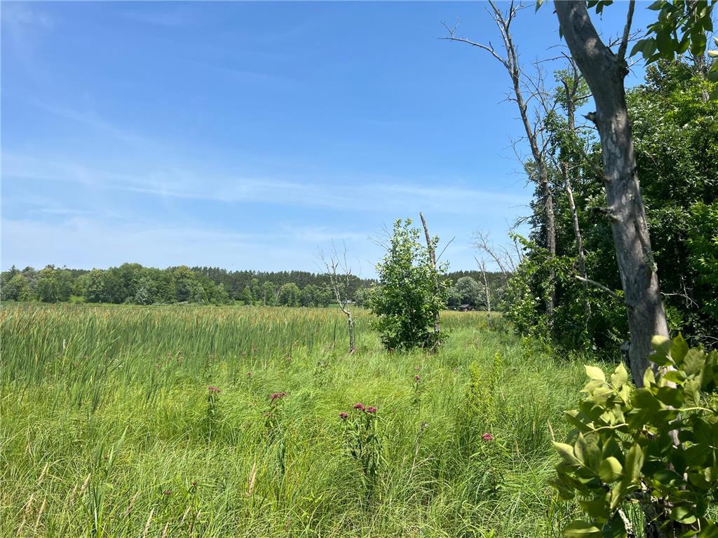 59112 412th Place Swatara MN 55785 - McKinney 6744843 image4