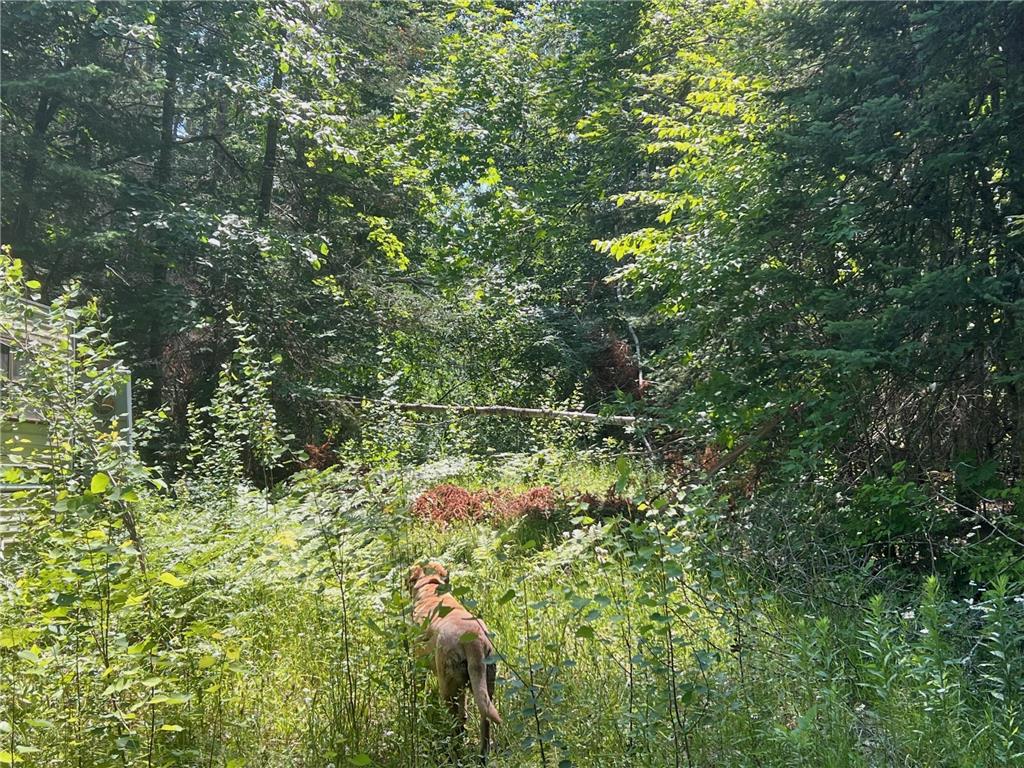 59112 412th Place Swatara MN 55785 - McKinney 6744843 image8