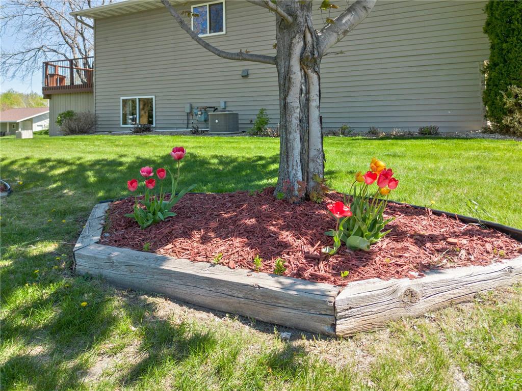 5916 Galaxy Road Saint Augusta MN 56301 7071361 image60
