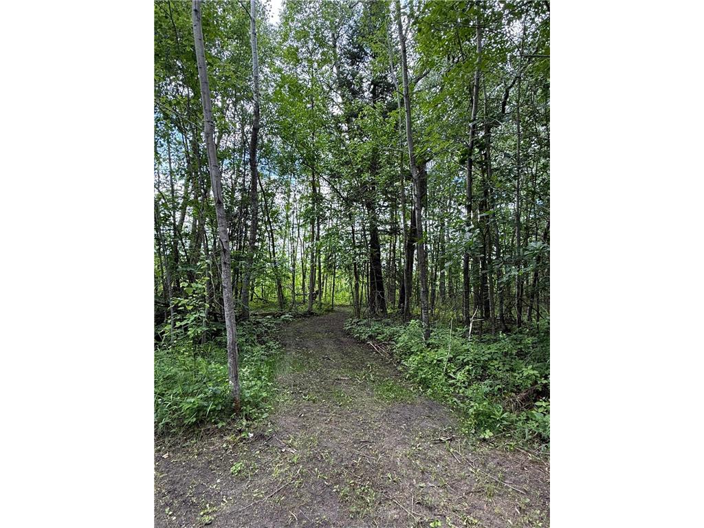 59256 340th Street Moranville Twp MN 56763 - Warroad River - West Branch 7103885 image25