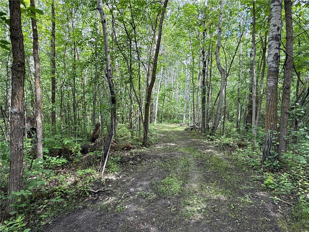 59256 340th Street Moranville Twp MN 56763 - Warroad River - West Branch 7103885 image26