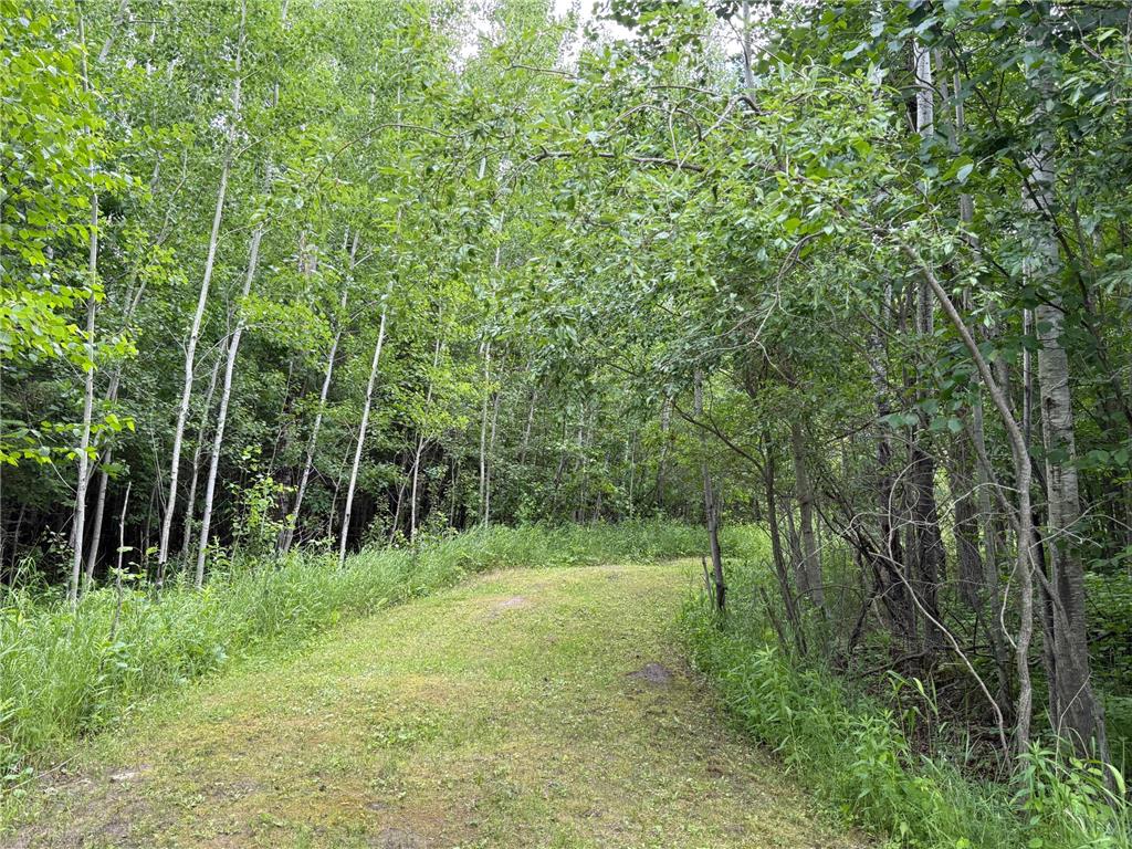 59256 340th Street Moranville Twp MN 56763 - Warroad River - West Branch 7103885 image27