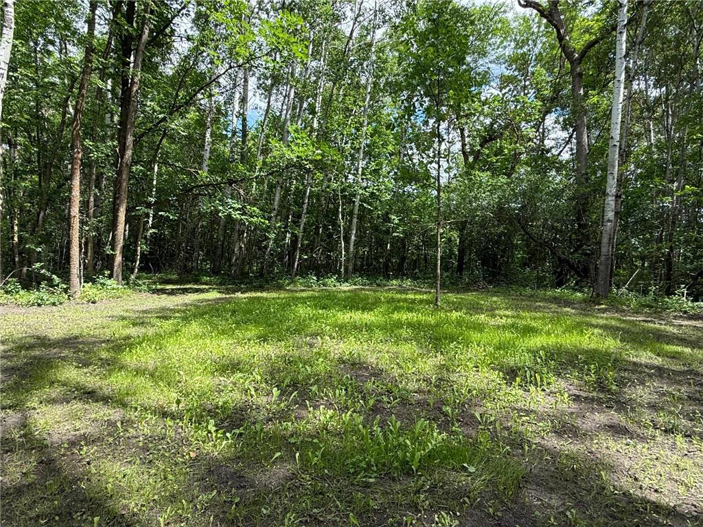 59256 340th Street Moranville Twp MN 56763 - Warroad River - West Branch 7103885 image28