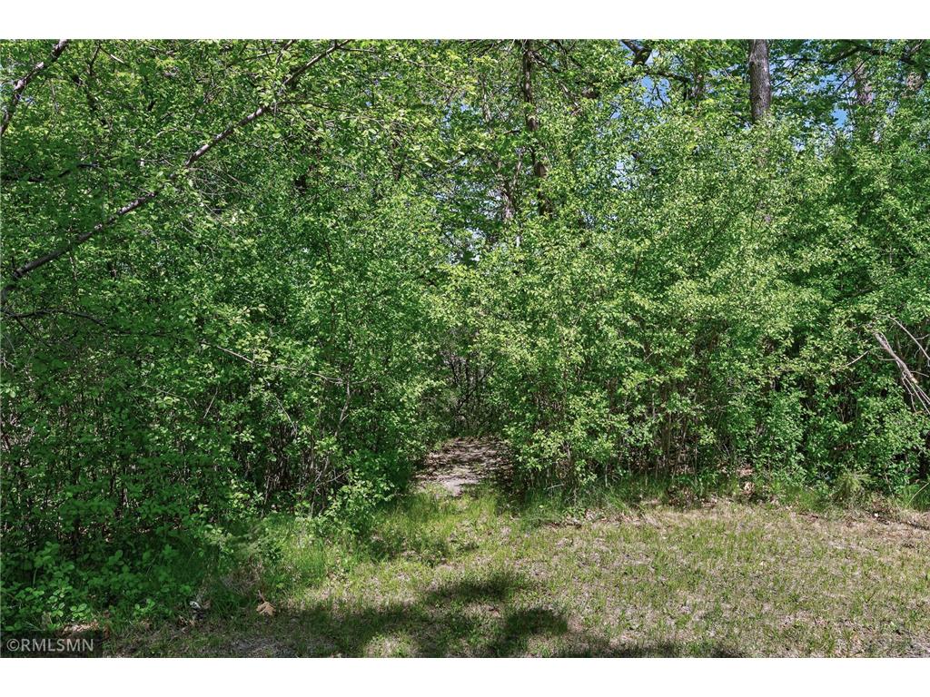 5931 Hobe Lane White Bear Twp MN 55110 - Bald Eagle 7075171 image54