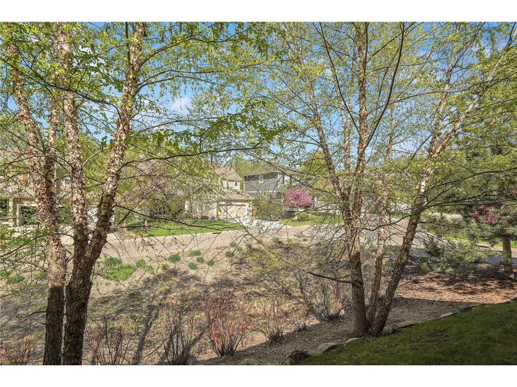 5947 Lone Lake Loop Minnetonka MN 55343 7070352 image55