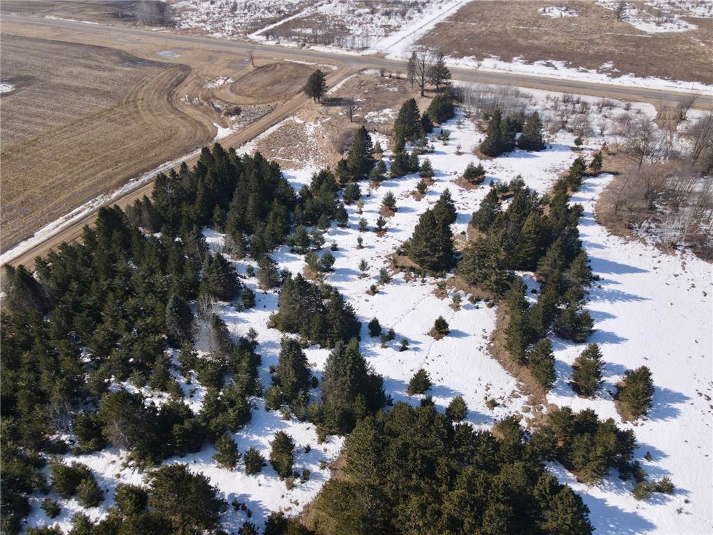 59527 235th Street Oak Valley Twp MN 56453 7029811 image3