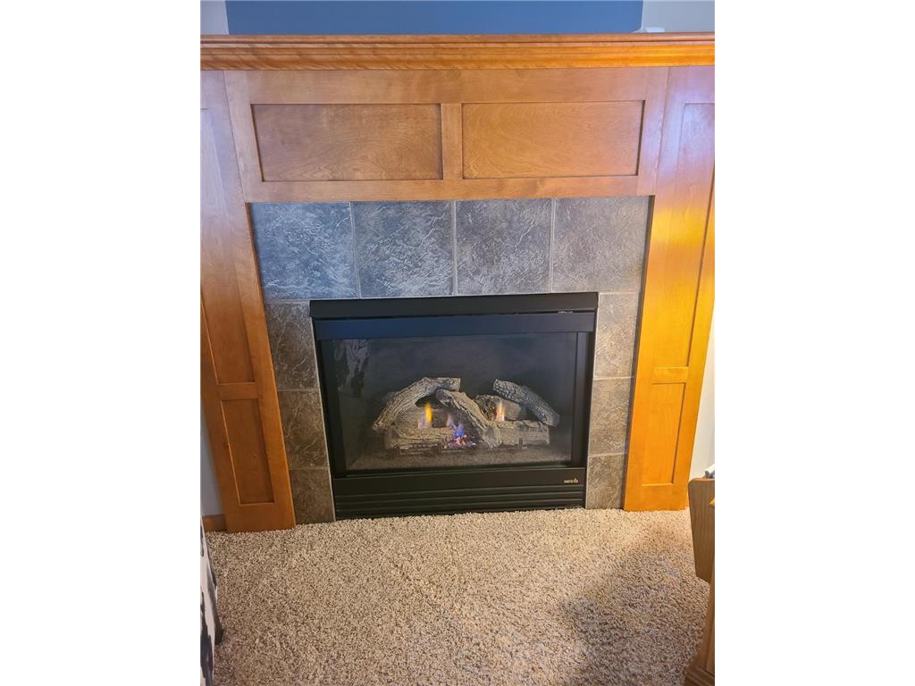 597 19th Street Zumbrota MN 55992 7094322 image11