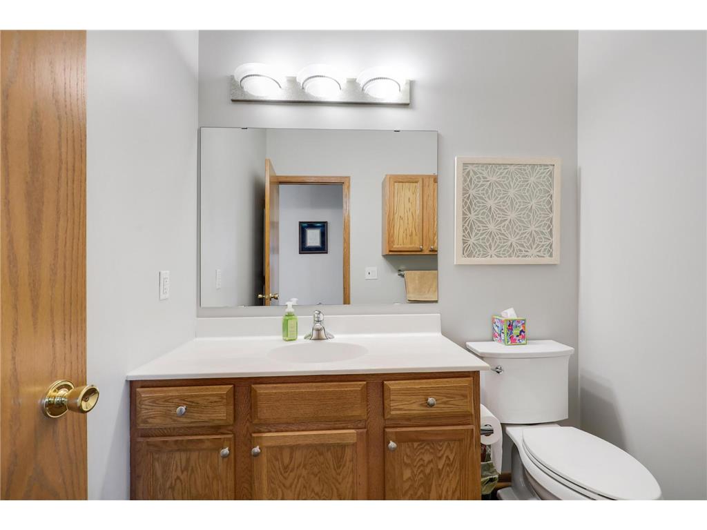 598 Meadow Lane Norwood Young America MN 55397 7039458 image22