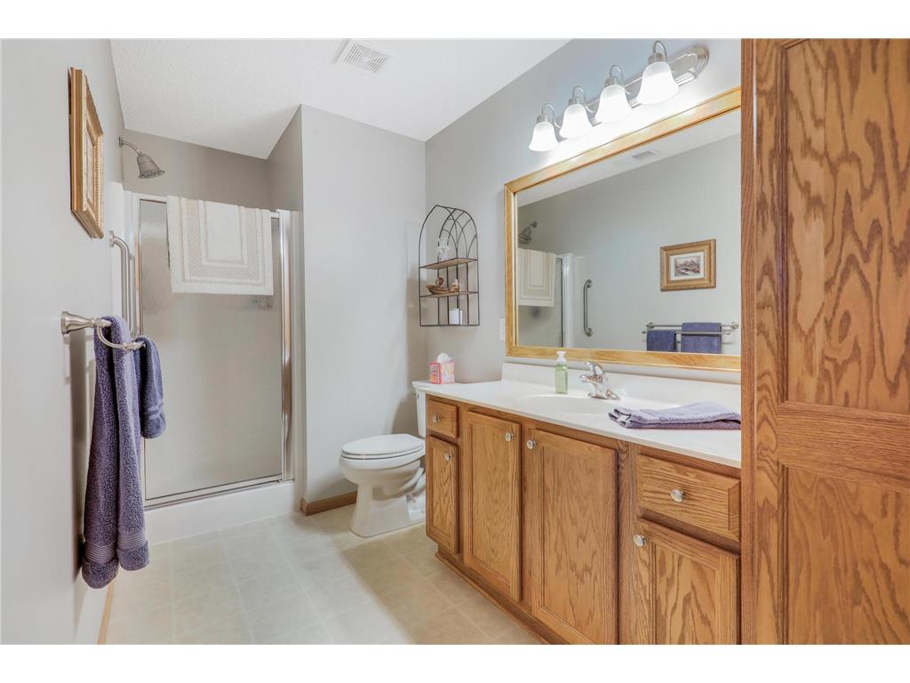 598 Meadow Lane Norwood Young America MN 55397 7039458 image48