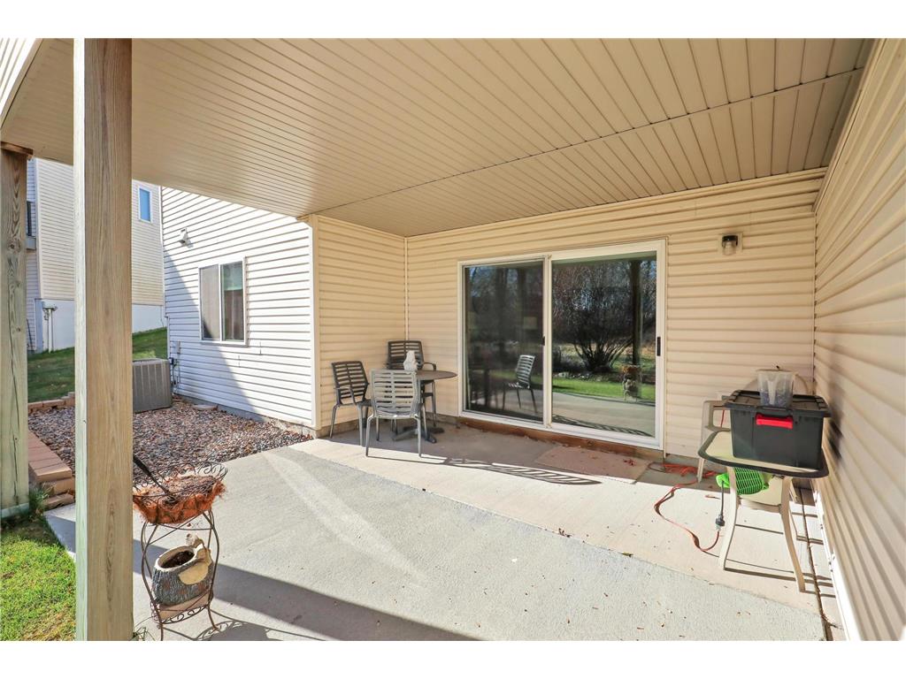 598 Meadow Lane Norwood Young America MN 55397 7039458 image52