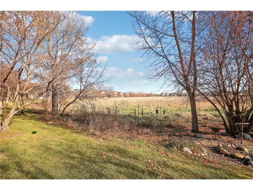 598 Meadow Lane Norwood Young America MN 55397 7039458 image54