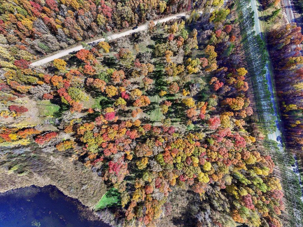 5980 Highway 210 W Baxter MN 56425 - Mile 6804067 image8