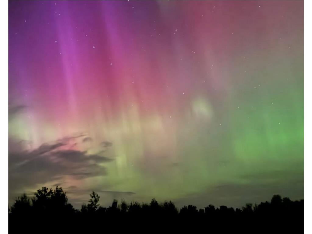 59871 County Highway 52 Compton Twp MN 56482 6800349 image52