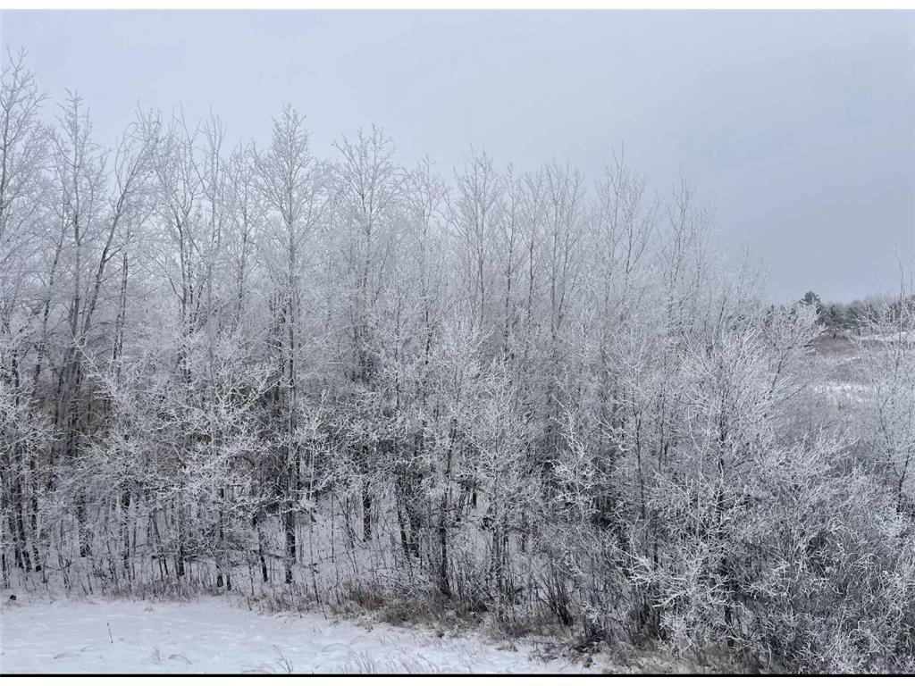 59871 County Highway 52 Compton Twp MN 56482 6800349 image55