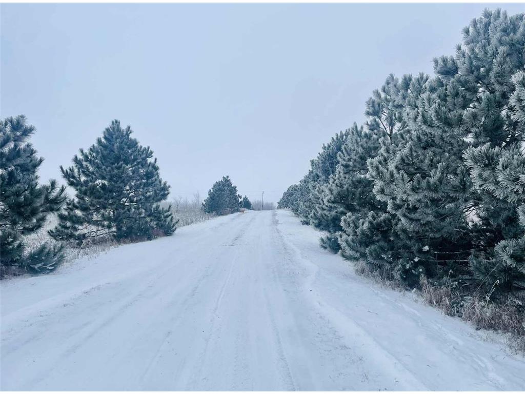 59871 County Highway 52 Compton Twp MN 56482 6800349 image56