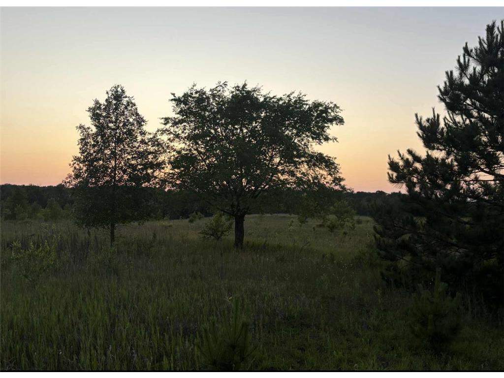 59871 County Highway 52 Compton Twp MN 56482 6800349 image57