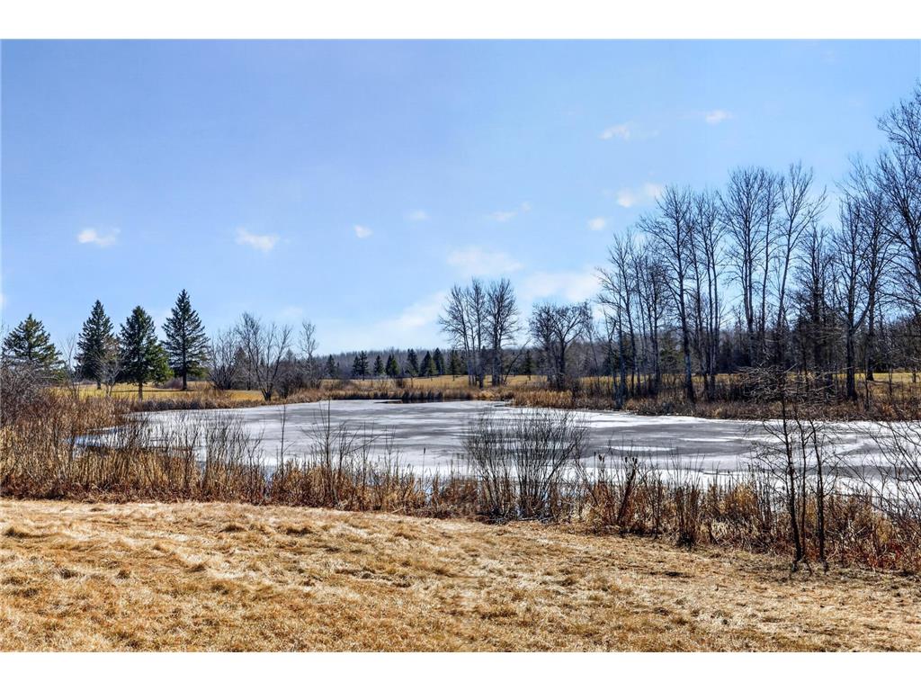 59923 County Road 261 Bigfork MN 56628 7046987 image13