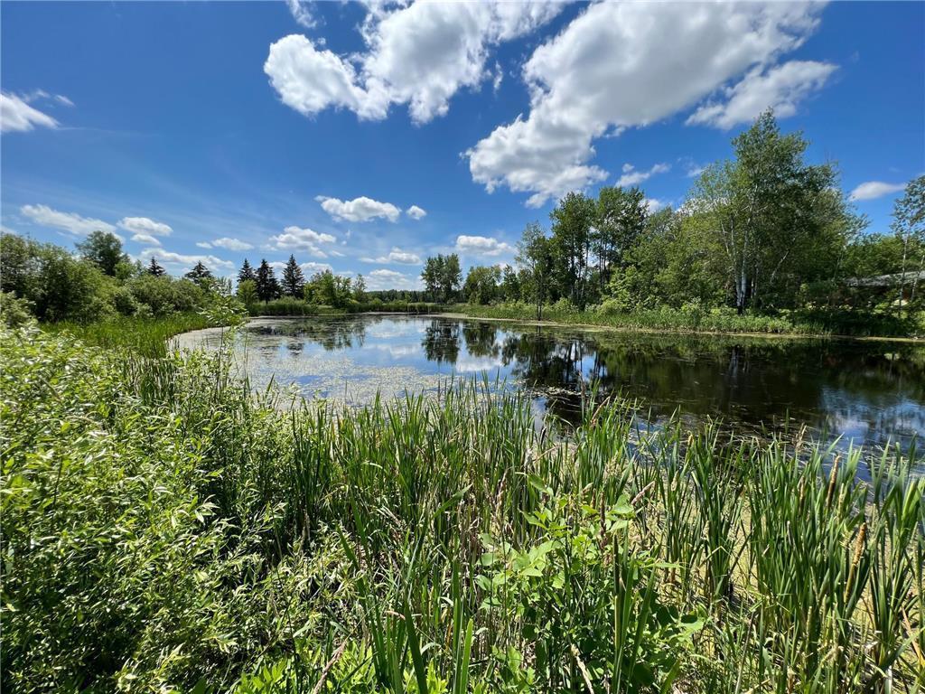 59923 County Road 261 Bigfork MN 56628 7046987 image14